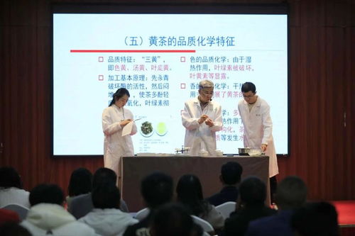 非遺活態傳承新篇章 黔北黃茶技藝選定黔東南代言人，推動茶文化深度交流